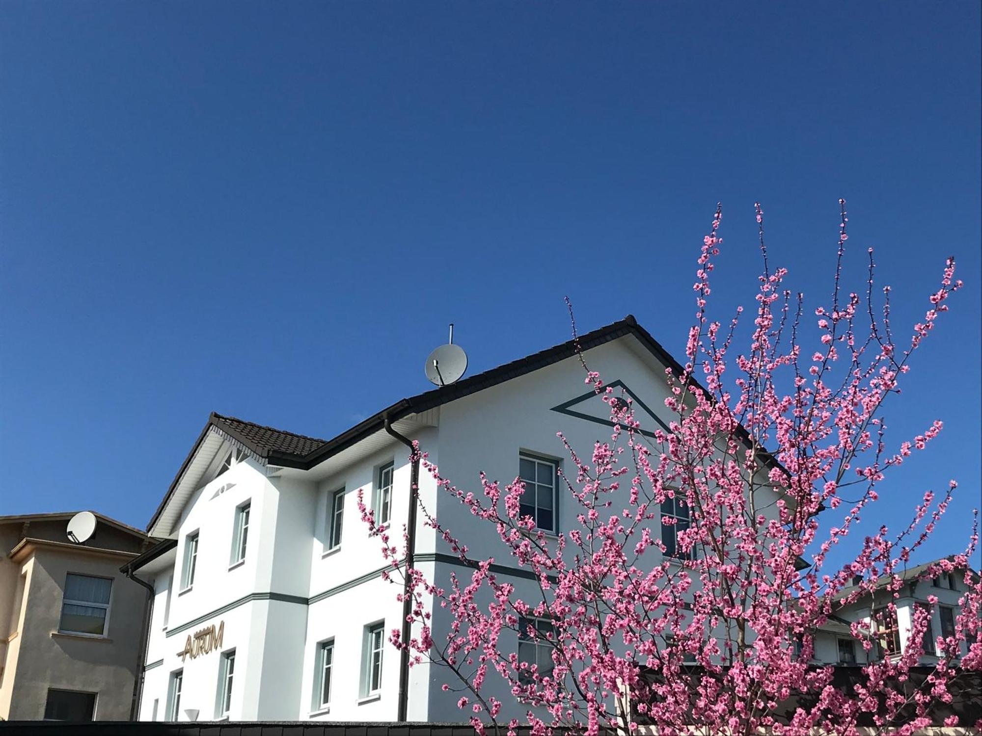 Apartmenthaus Aurum Heringsdorf  Exterior photo